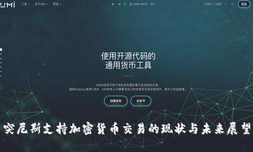 突尼斯支持加密货币交易的现状与未来展望