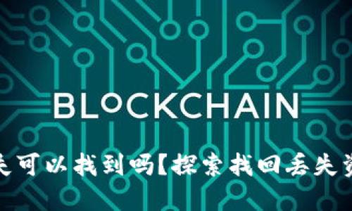 加密货币丢失可以找到吗？探索找回丢失资产的可能性