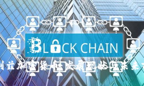 伯利兹加密货币：发展现状与未来前景