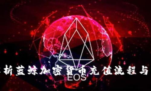 : 全面解析蓝鲸加密货币充值流程与注意事项