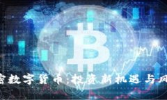ICO加密数字货币：投资新机遇与风险分析