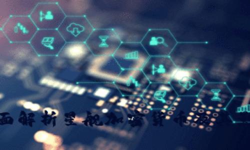 全面解析星舰加密货币及其影响