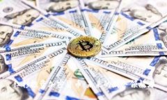 红杉投资加密货币：未来的财务领航者